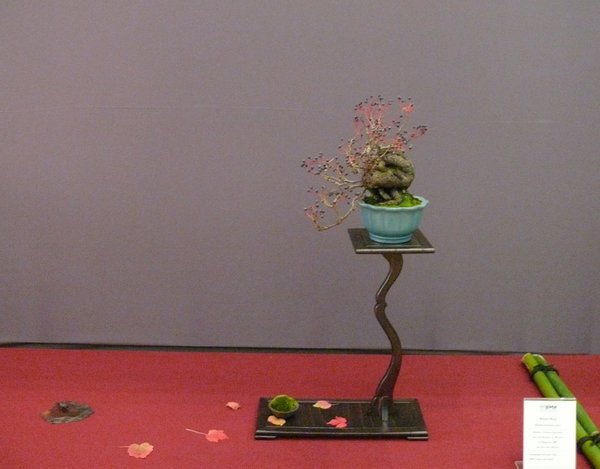 P1210267k.JPG