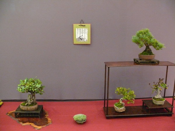 P1210269k.JPG