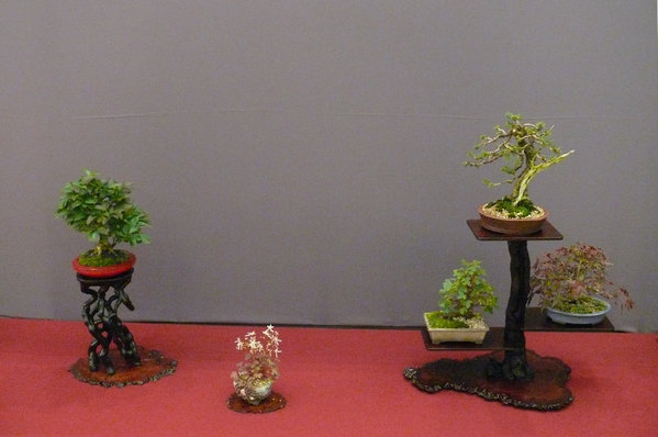 P1210273k.JPG