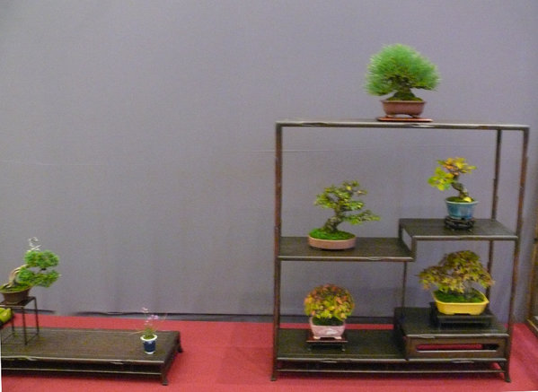 P1210277k.JPG