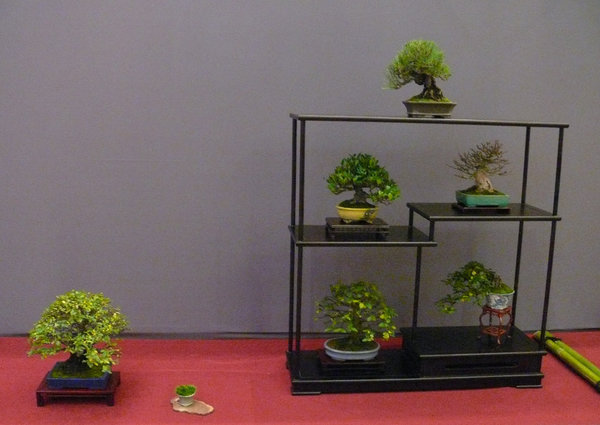 P1210278k.JPG