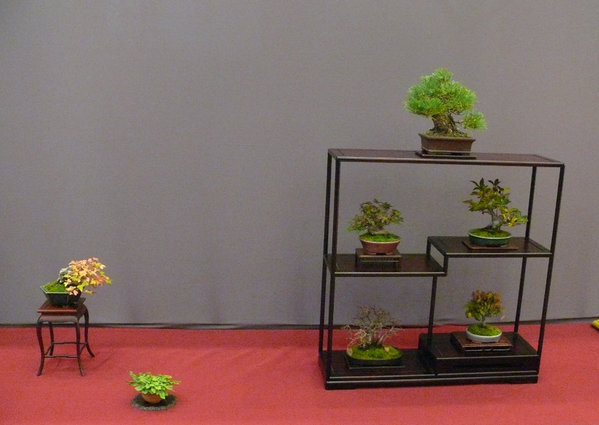 P1210279k.JPG