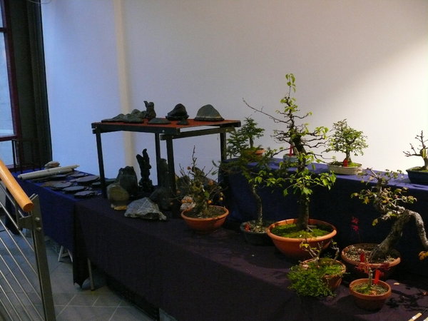 P1210292k.JPG