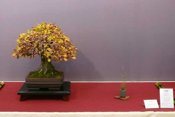 P1210300k.JPG
