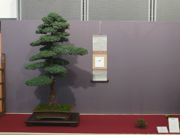 P1210301k.JPG