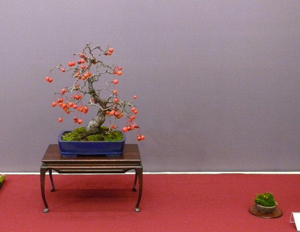 P1210302k.JPG