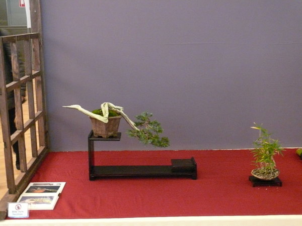 P1210303k.JPG