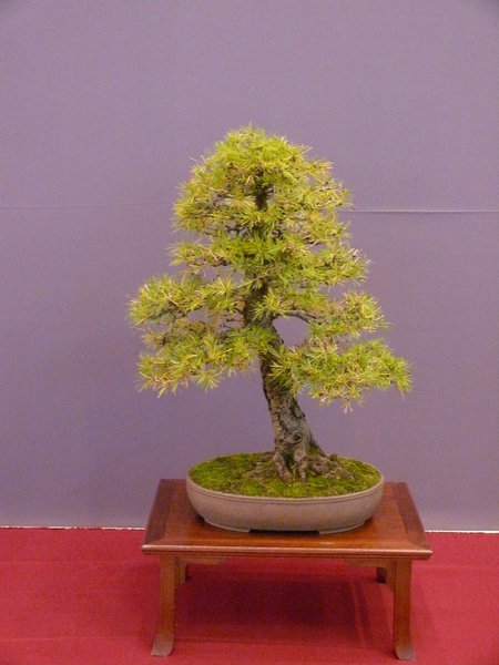 P1210307k.JPG