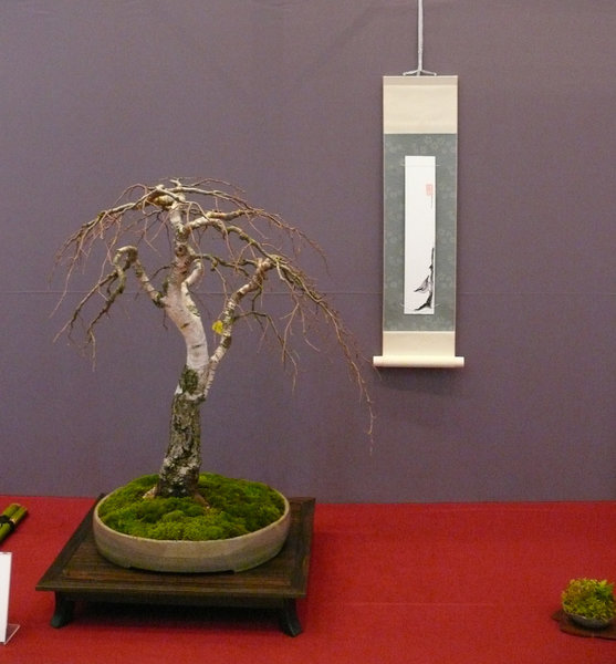 P1210317k.JPG