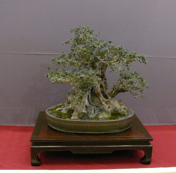 P1210318k.JPG
