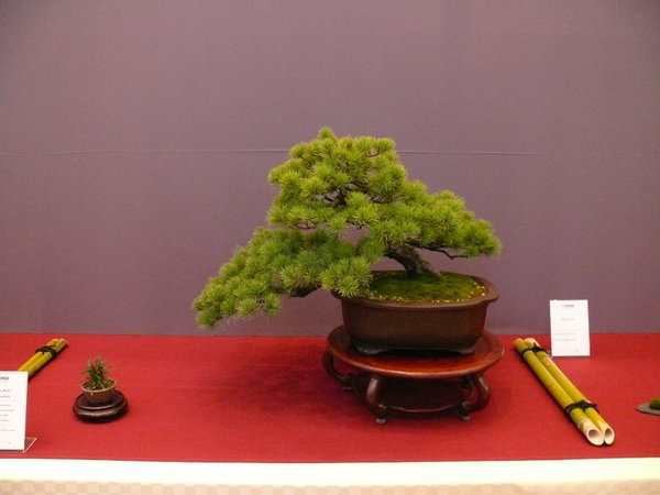 P1210320k.JPG