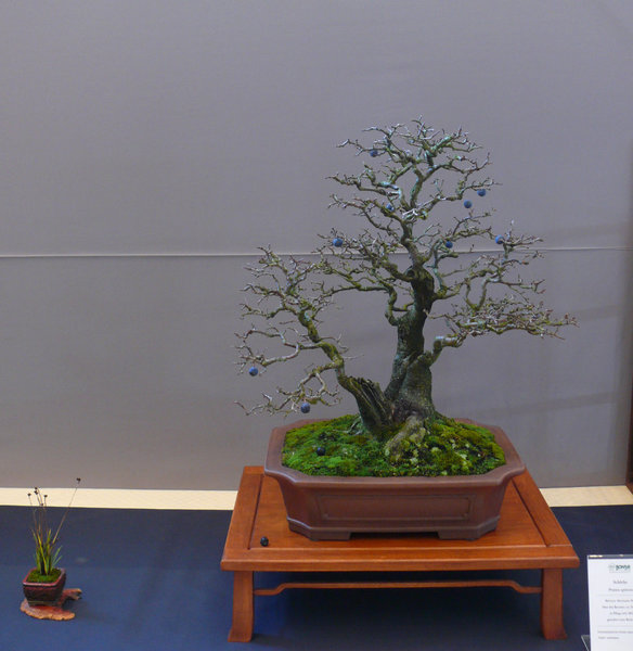 P1210327k.JPG