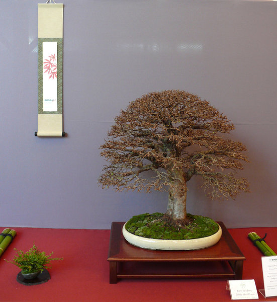 P1210329k.JPG