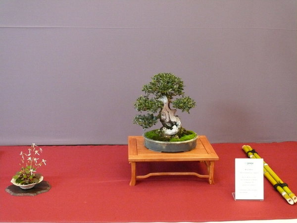 P1210333k.JPG
