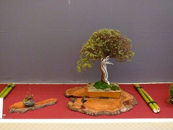 P1210332k.JPG