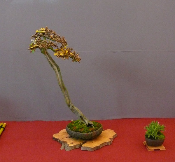 P1210334k.JPG