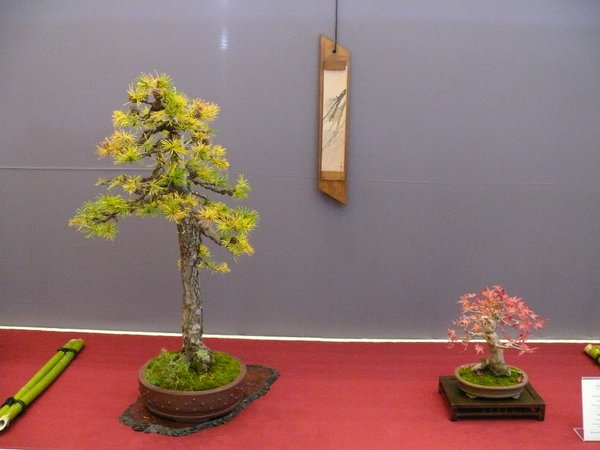 P1210336k.JPG