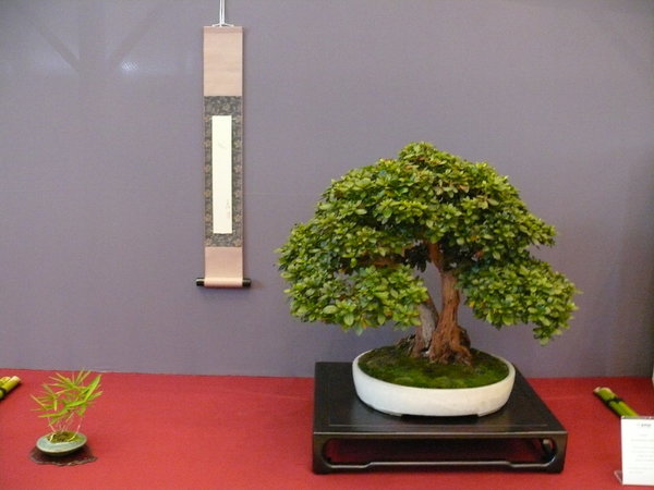 P1210337k.JPG