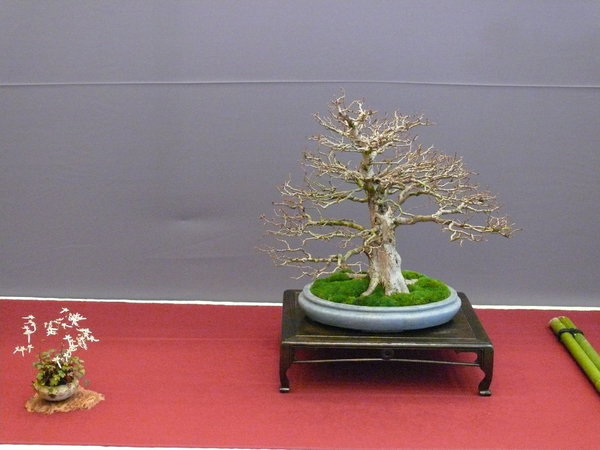 P1210339k.JPG