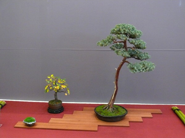 P1210340k.JPG