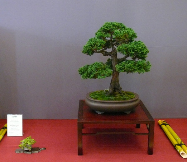 P1210341k.JPG