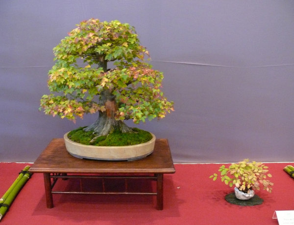 P1210350k.JPG