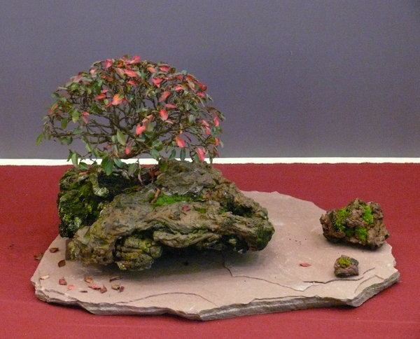 P1210352k.JPG