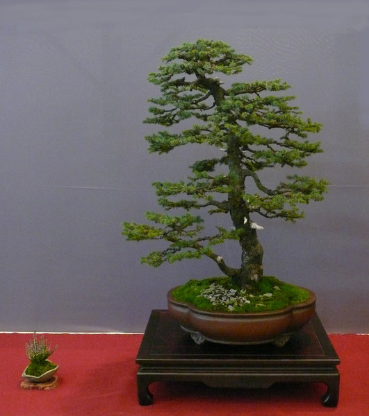 P1210353k.JPG