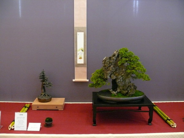 P1210354k.JPG