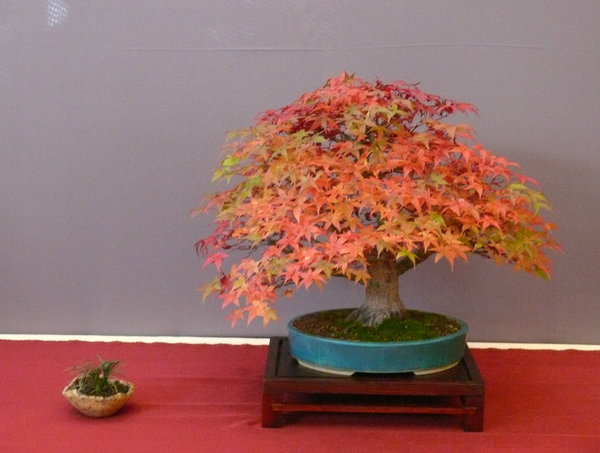 P1210364k.JPG