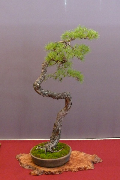 P1210365k.JPG