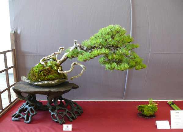 P1210373k.JPG