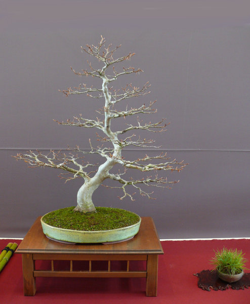 P1210376k.JPG