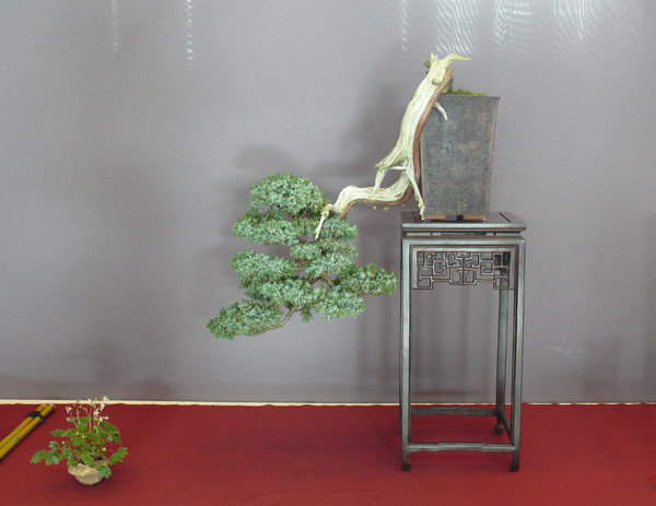 P1210377k.JPG