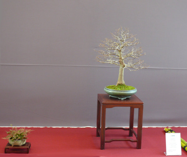 P1210378k.JPG