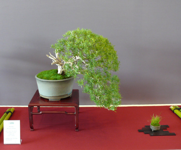 P1210395k.JPG