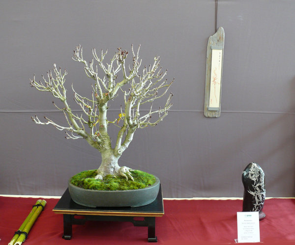 P1210399k.JPG