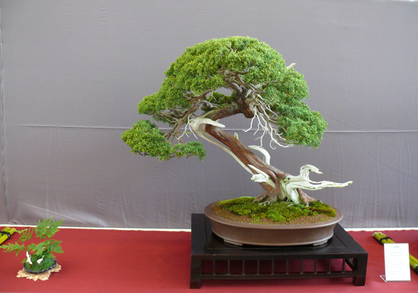 P1210400k.JPG