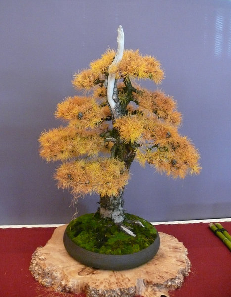 P1210410k.JPG
