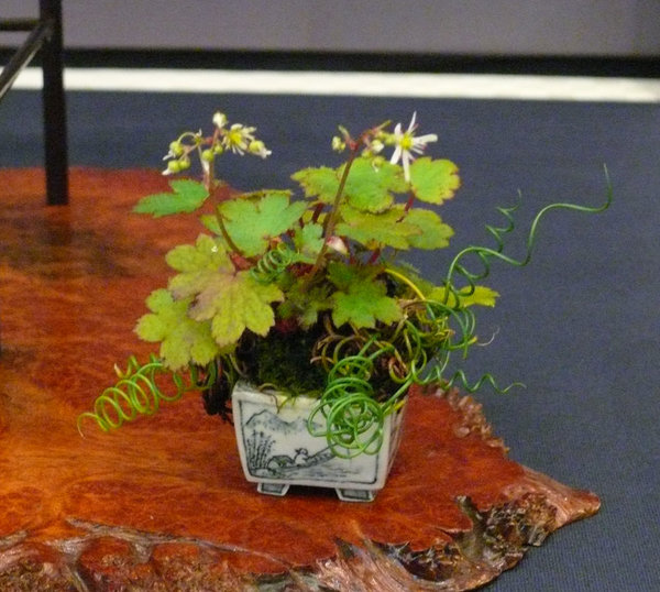 P1210427k.JPG