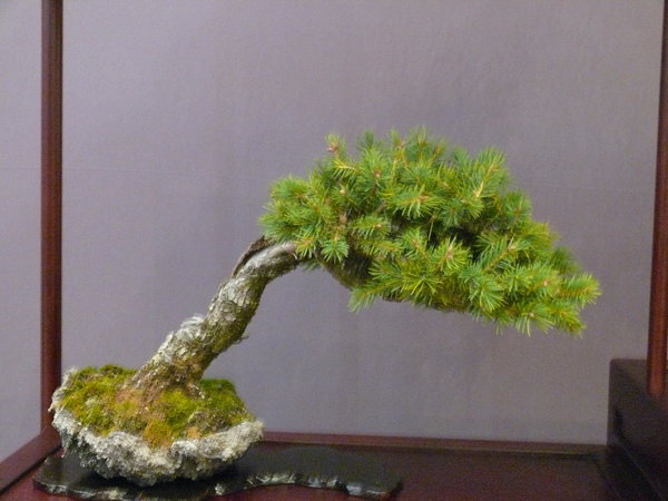 P1210435k.JPG