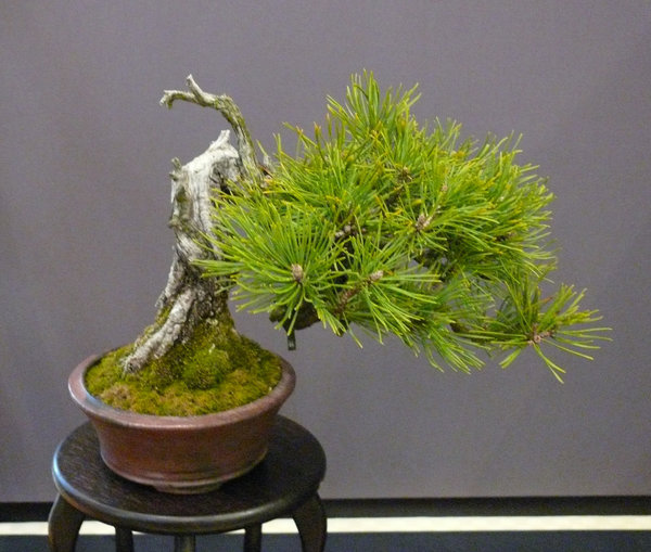 P1210436k.JPG