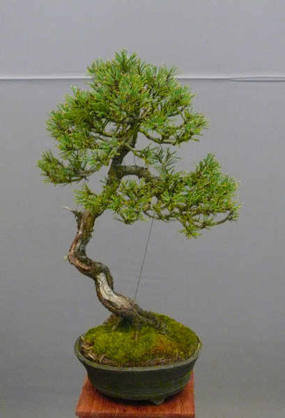 P1210442k.JPG