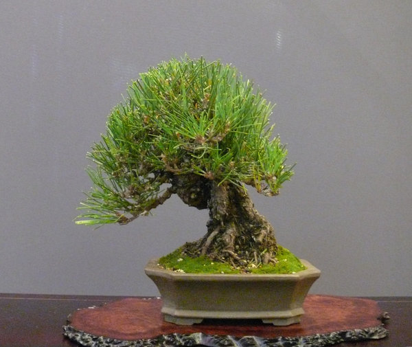 P1210446k.JPG