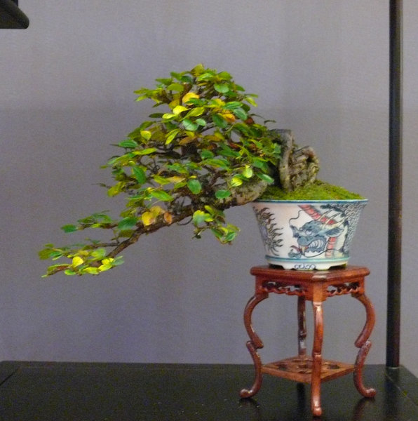 P1210449k.JPG