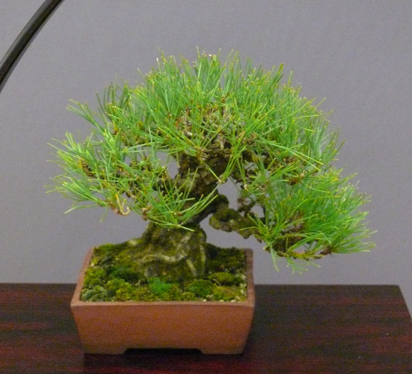 P1210452k.JPG