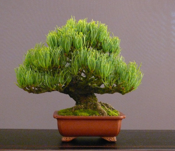 P1210455k.JPG