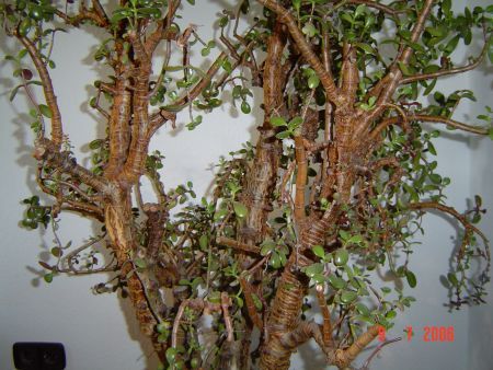 new_DSC00754.jpg