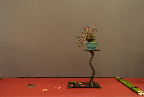 wilder Wein von Chris P