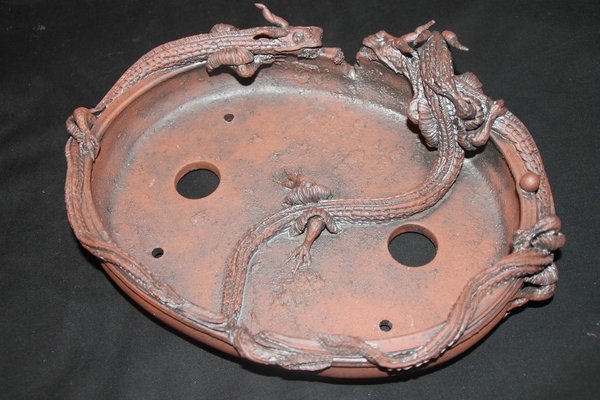 Dragon-Potts-Marc BerenbrinkerIMG_9728.jpg